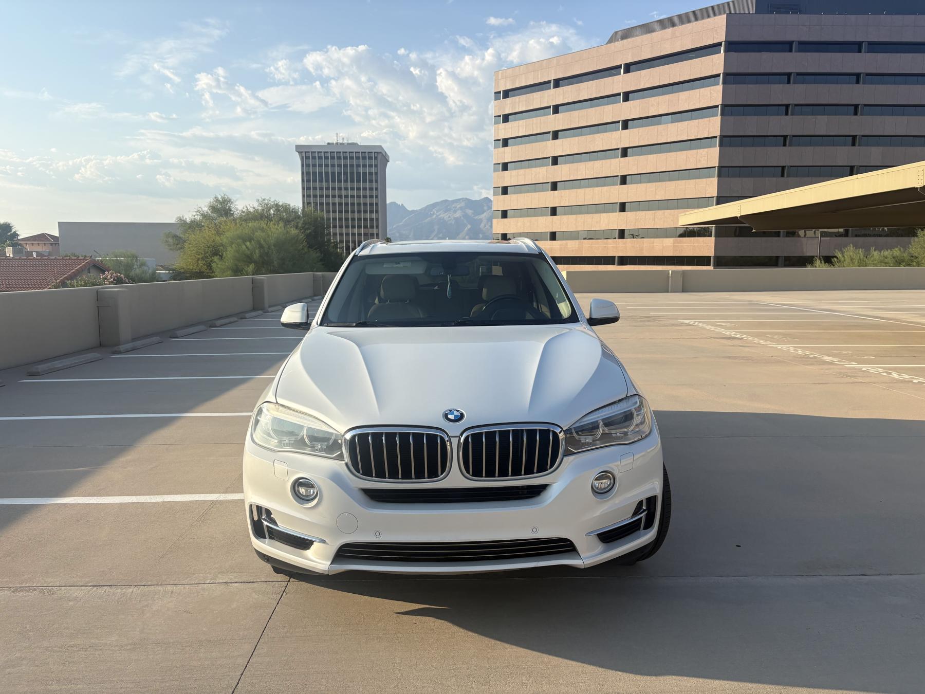 2014 BMW X5 sDrive35i — photo 1